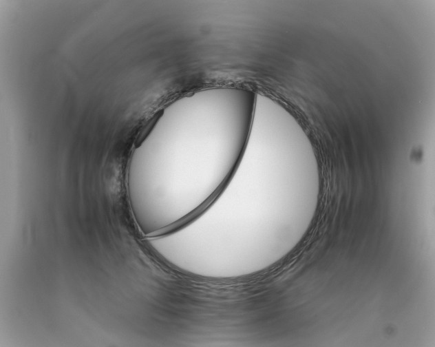 X0000091080708200709041241