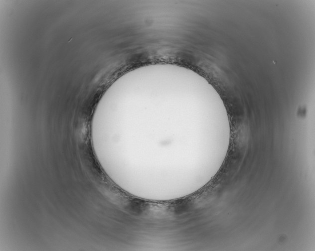 X0000091080709200709041241