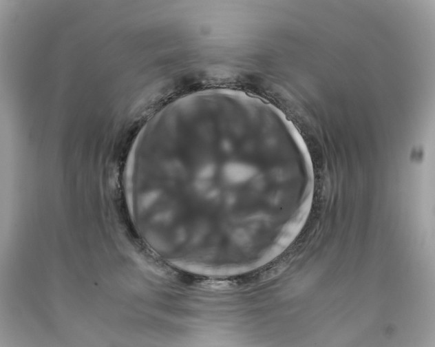 X0000091080711200709041241