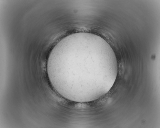 X0000091080714200709041241