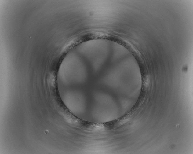 X0000091080715200709041241