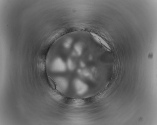 X0000091080719200709041241