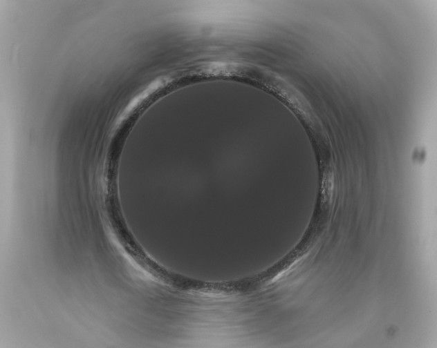 X0000091080722200709041240