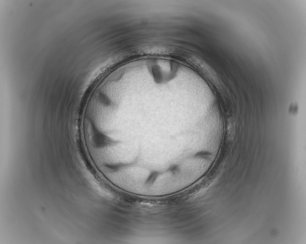 X0000091080725200709041240