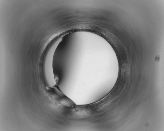 X0000091080727200709041240