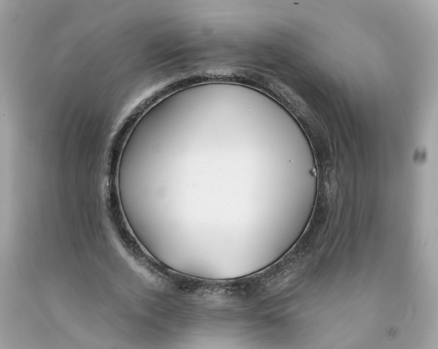 X0000091080728200709041240