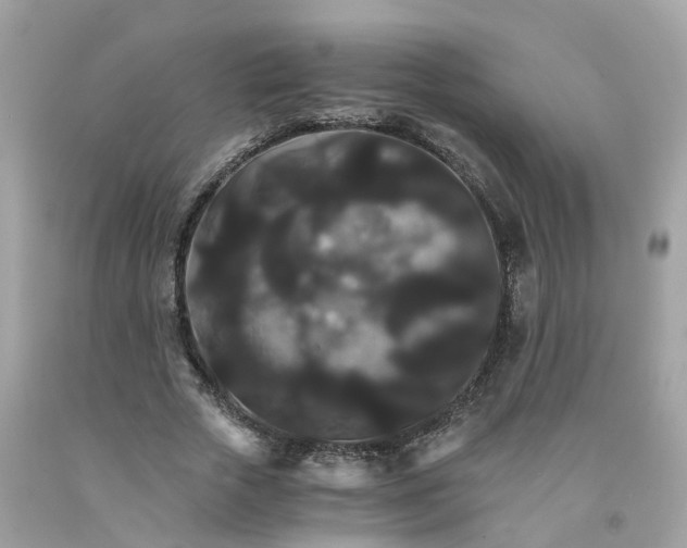 X0000091080729200709041240