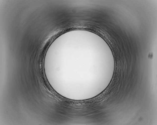 X0000091080731200709041240