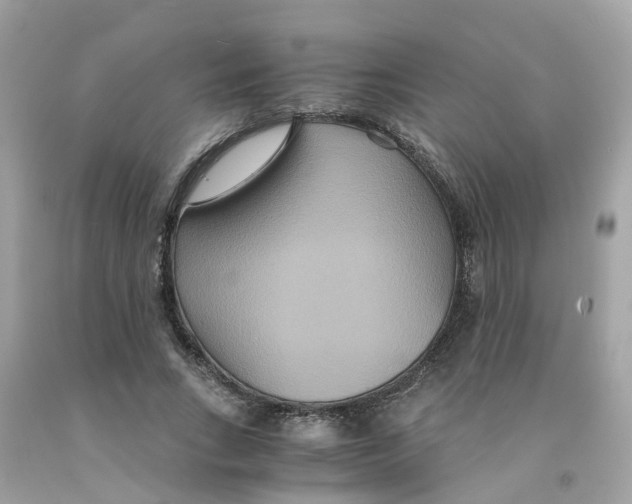 X0000091080735200709041240