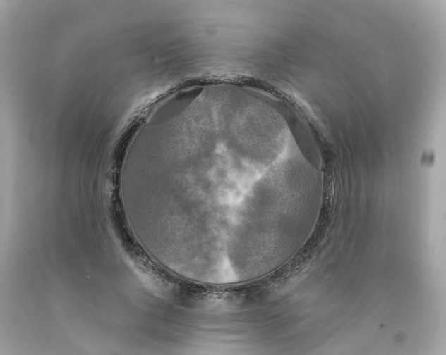 X0000091080736200709041240