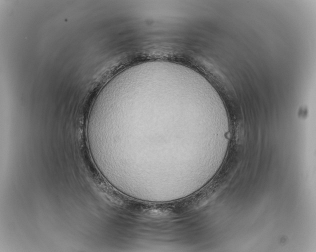 X0000091080737200709041240