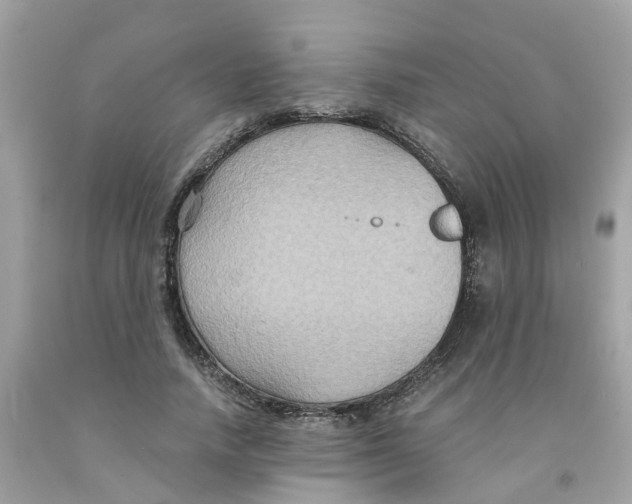 X0000091080738200709041240