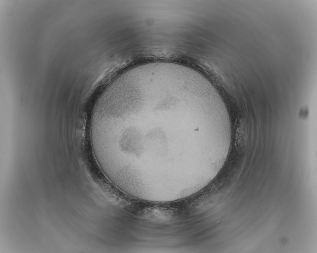 X0000091080739200709041240