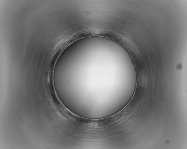 X0000091080740200709041240