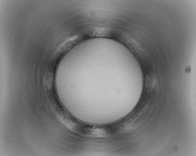 X0000091080741200709041240