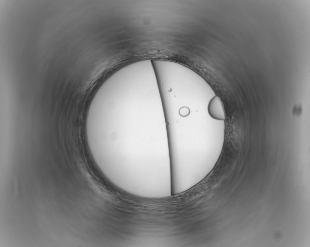 X0000091080742200709041240