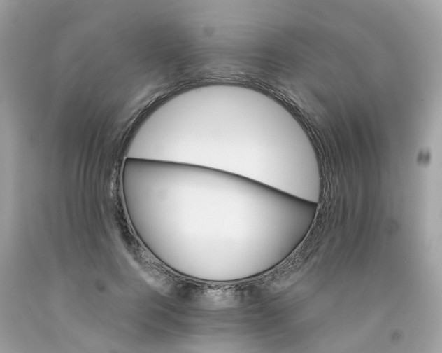 X0000091080744200709041240