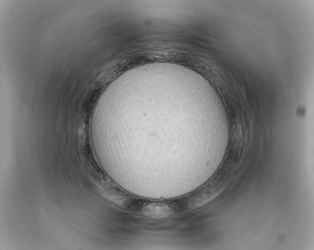 X0000091080749200709041240