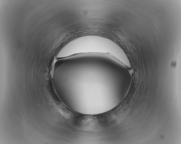 X0000091080750200709041240