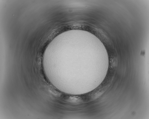 X0000091080753200709041240