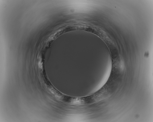 X0000091080754200709041240