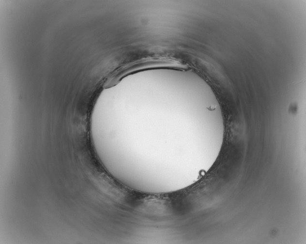 X0000091080756200709041240