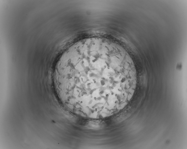 X0000091080757200709041240