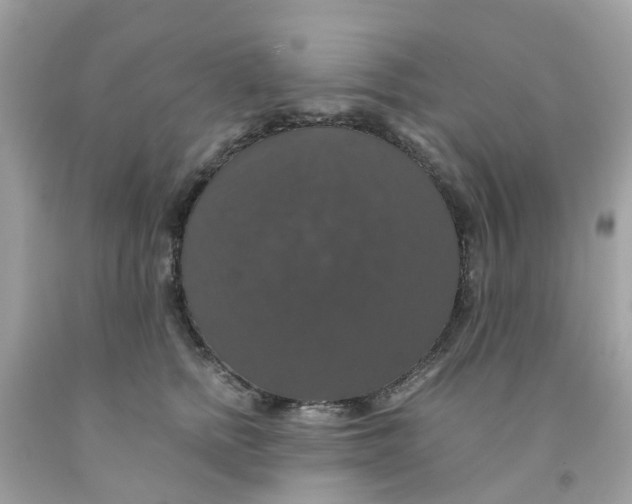 X0000091080758200709041240