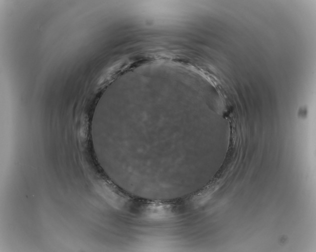 X0000091080760200709041240