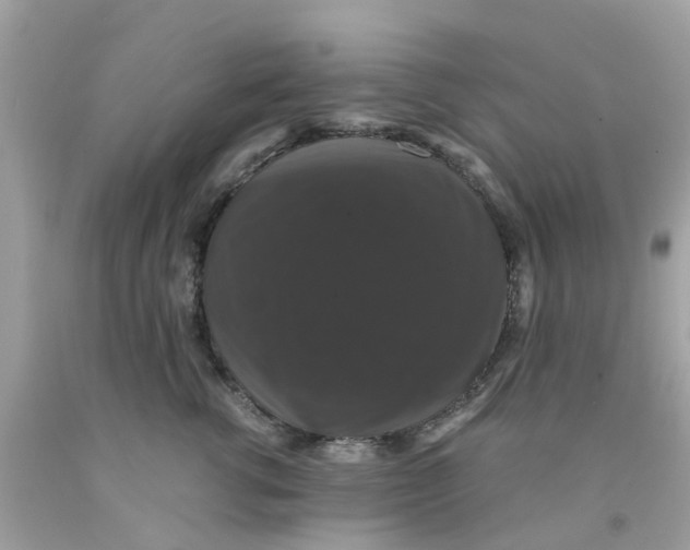 X0000091080762200709041240