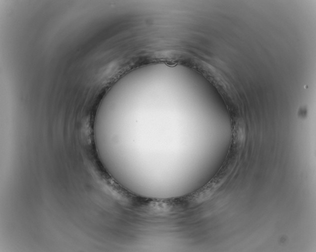 X0000091080764200709041240