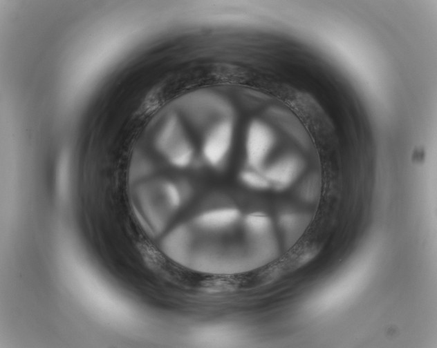 X0000091080765200709041240