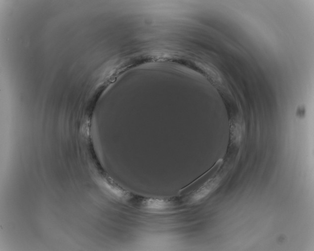 X0000091080766200709041241