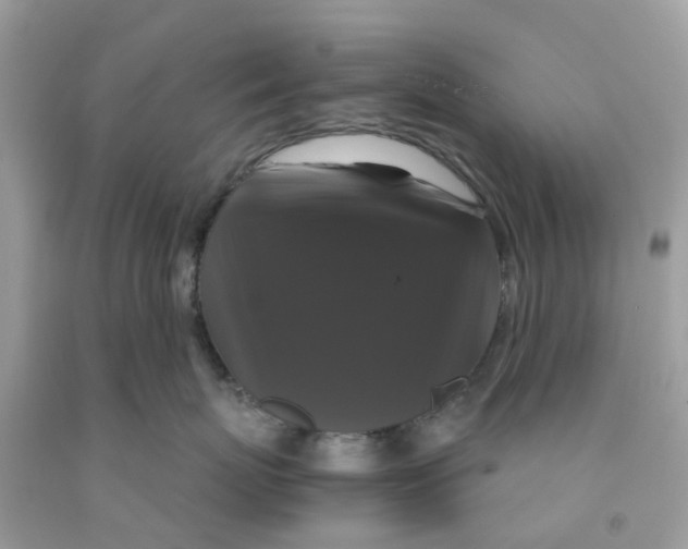 X0000091080767200709041241