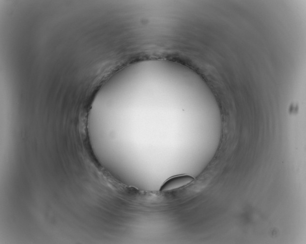 X0000091080768200709041241