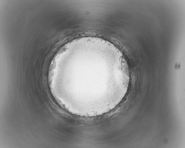 X0000091080769200709041240