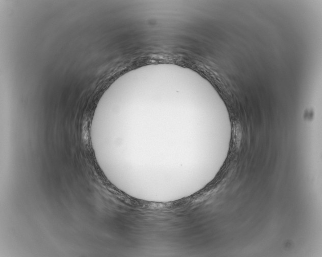 X0000091080770200709041240