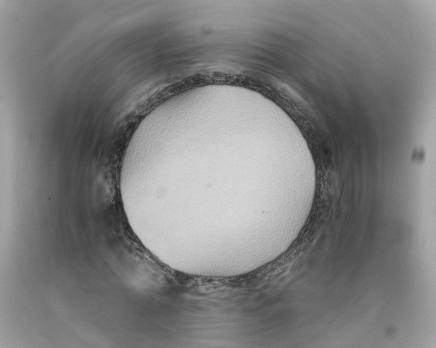 X0000091080774200709041240