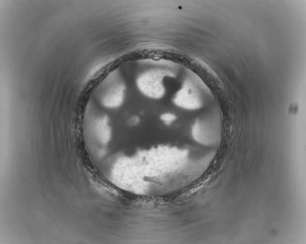 X0000091080775200709041240