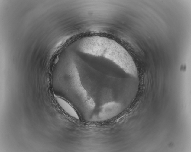 X0000091080776200709041240