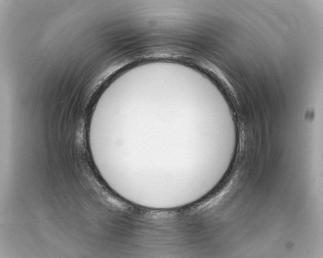 X0000091080778200709041240