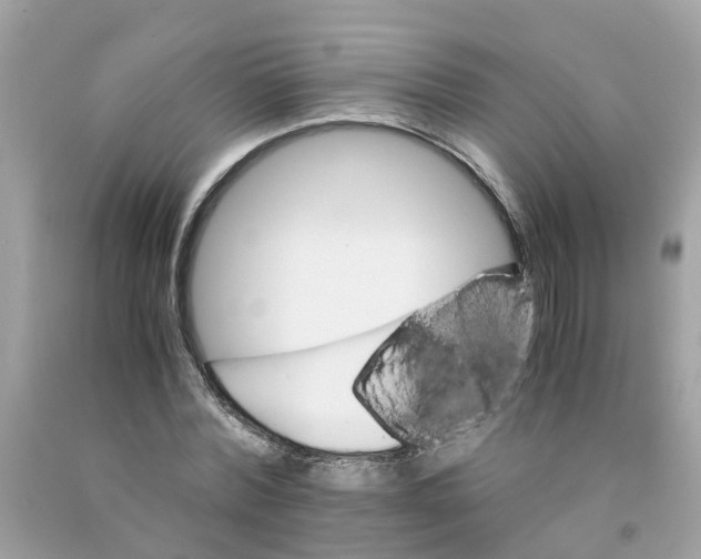 X0000091080780200709041240