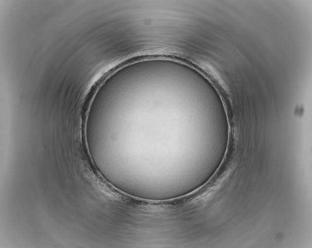 X0000091080781200709041240