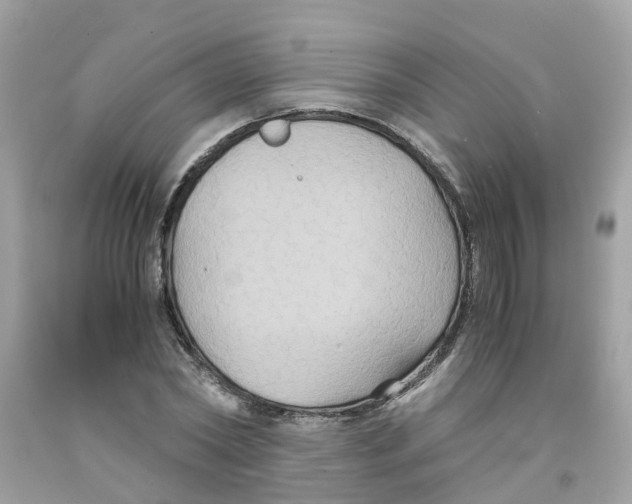 X0000091080782200709041240