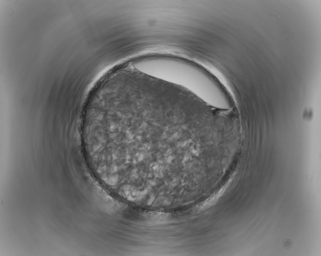 X0000091080783200709041240