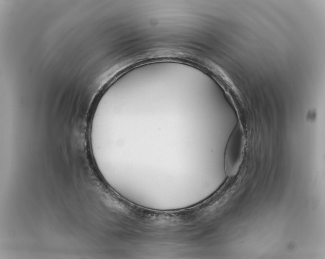 X0000091080786200709041240