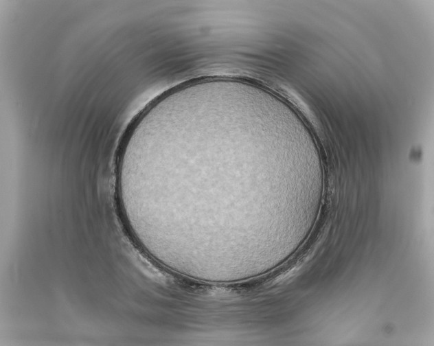 X0000091080787200709041240