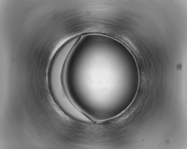 X0000091080788200709041240