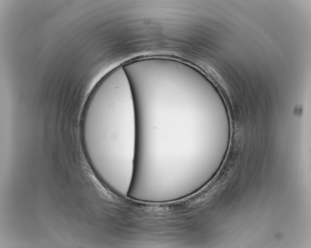 X0000091080789200709041240