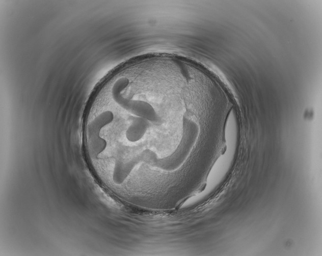 X0000091080791200709041240